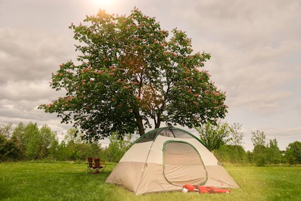 Vacances idéales au camping le Vallespir à Arles-sur-Tech