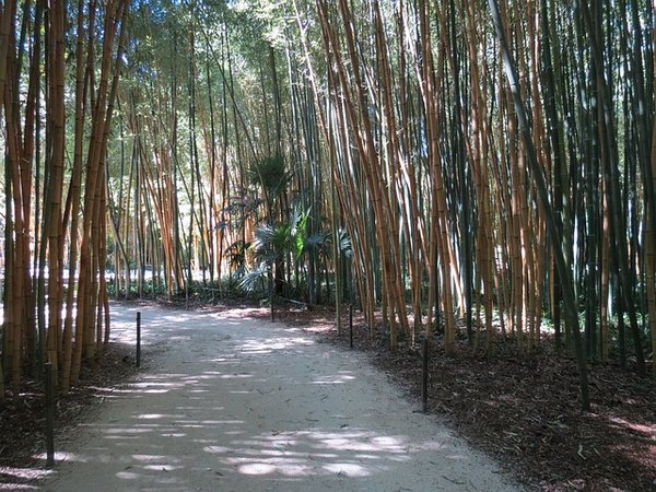 Découvrez le charme des campings 3 Étoiles à Anduze