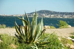 détente plage camping Sète